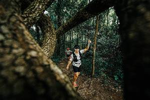 BIB: 
                            <button type="button" onclick="openModal(25667169)" class="btn btn-primary btn-sm float-right btn-popup" data-toggle="modal" data-target=".modal-high-quality">
                        <i class="fas fa-shopping-cart"></i> Add to Cart
                    </button>
                                            <button type="button" onclick="isThisMe(25667169, true)" class="btn btn-success btn-sm float-right btn-popup btn-isme hidden" data-toggle="tooltip" data-placement="bottom" title="นี่คือรูปของคุณใช่ไหม คลิกที่นี่เพื่อเอาเข้าอัลบั้ม">
                        <i class="fas fa-plus"></i> Add to album
                    </button>
                    <button type="button" onclick="isThisMe(25667169, false)" class="btn btn-warning btn-sm float-right btn-popup btn-isnotme hidden">
                        <i class="fas fa-ban"></i> Remove from album
                    </button>